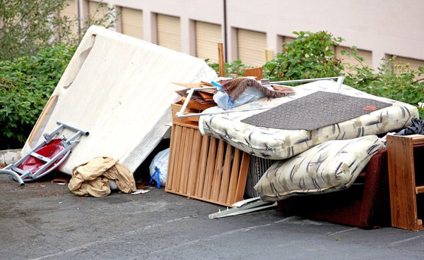 Messie-Mieter - Ich habe die Schnauze voll - Immobilienverkauf - rimaldi - Die Immobilienprofis Messie-Mieter - Ich habe die Schnauze voll - Immobilienverkauf - rimaldi - Die Immobilienprofis