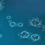 Virus