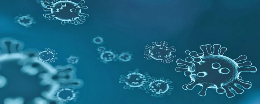 Virus