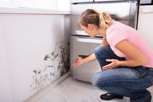 immobiliensanierung_schimmel_badezimmer immobiliensanierung_schimmel_badezimmer