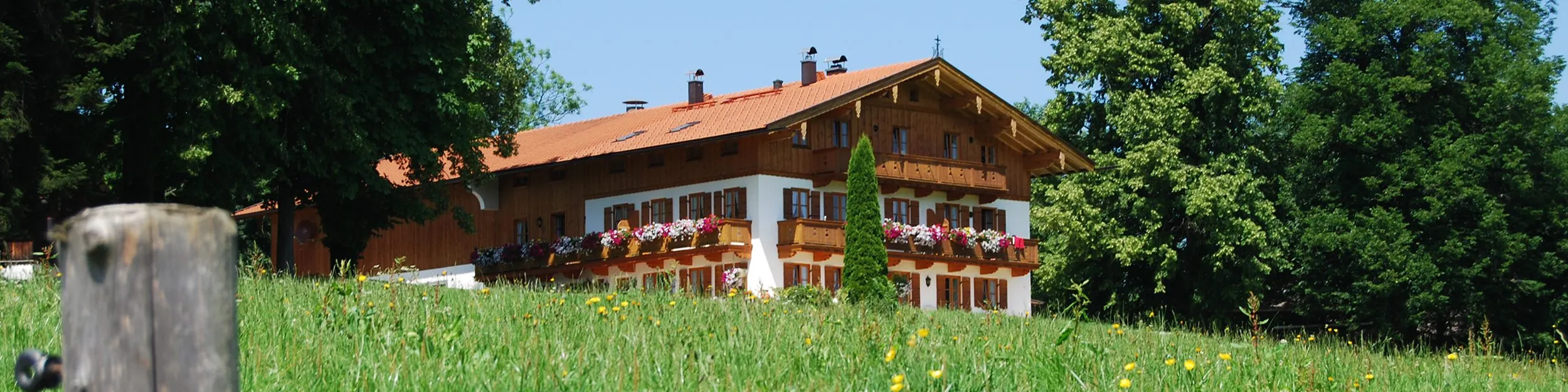 Imagebild eines Hausus - rimaldi - Die Immobilienprofis Imagebild eines Hausus - rimaldi - Die Immobilienprofis