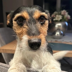 Foto von Willy